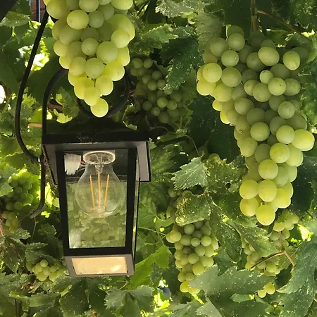 Affittacamere La Bonauda