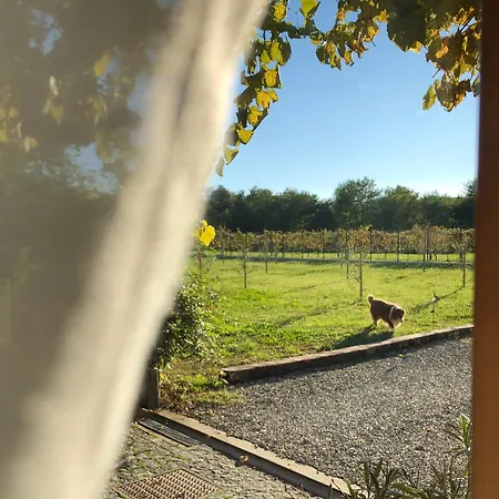 La Bonauda Affittacamere 3*