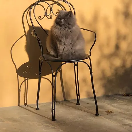 Affittacamere La Bonauda